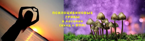 сатива Бронницы
