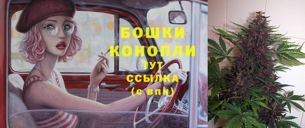 дмт Богородск
