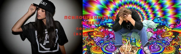 эйфоретик Бородино