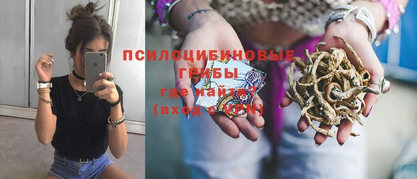 сатива Бронницы