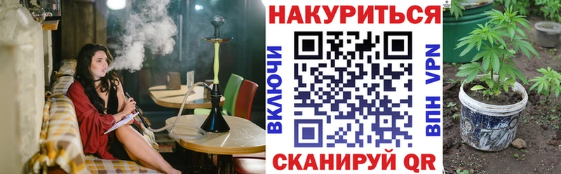 Бошки Шишки гибрид  где продают наркотики  Донской 